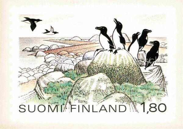 Pinguin Suomi Finland National Park Künstlerkar