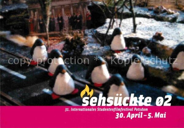 Pinguin 31. Internationales Studentenfilmfestiv