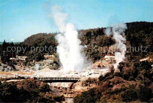 Geysire Vulcans Geysers Vulkane Whakarewarewa Rotorua New Zealand