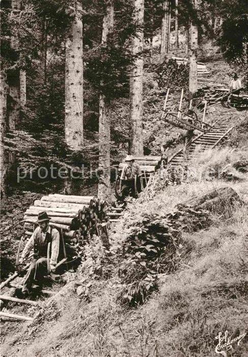 Landwirtschaft Chemin de Schlittage Vosges Holzabfuhr