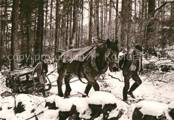 Landwirtschaft Holzschlitten Pferd Vogesen