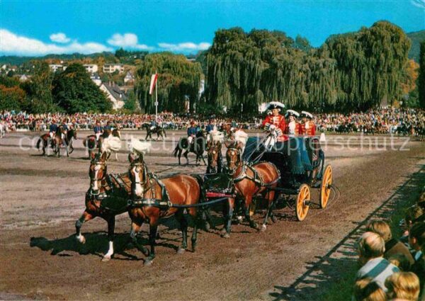 Pferde Hessisches Landgestüt Hengstparade Dill