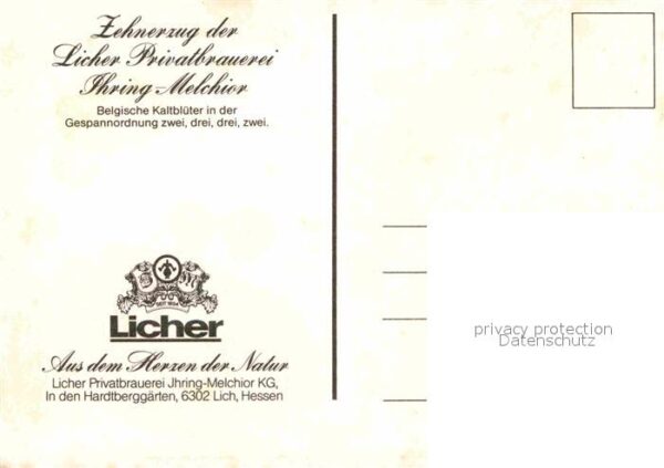 Pferde Zehnerzug Licher Privatbrauerei Ihring- – Bild 2