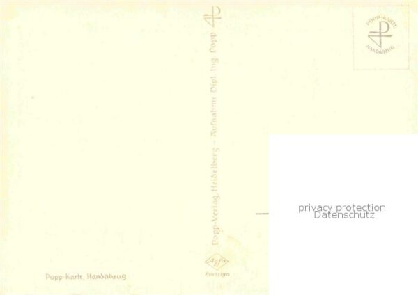 Foto Popp Nr. Sonnenblumen – Bild 2