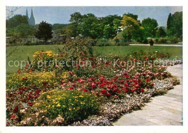 Bundesgartenschau Köln Rosenneuheitenschau Rosencafe