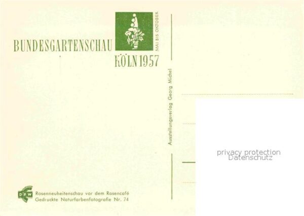 Bundesgartenschau Köln Rosenneuheitenschau Rosencafe – Bild 2