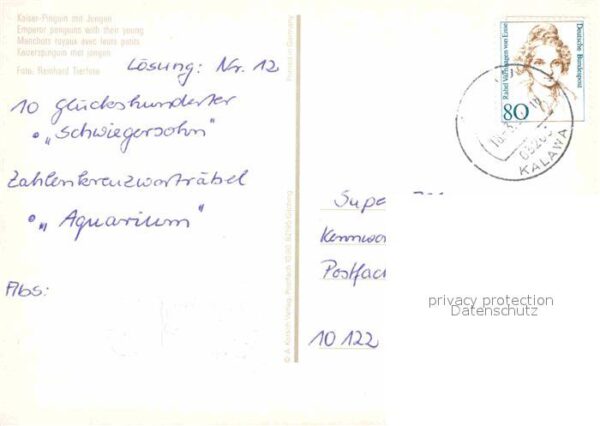 Pinguin Kaiser-Pinguin mit Jungen – Bild 2