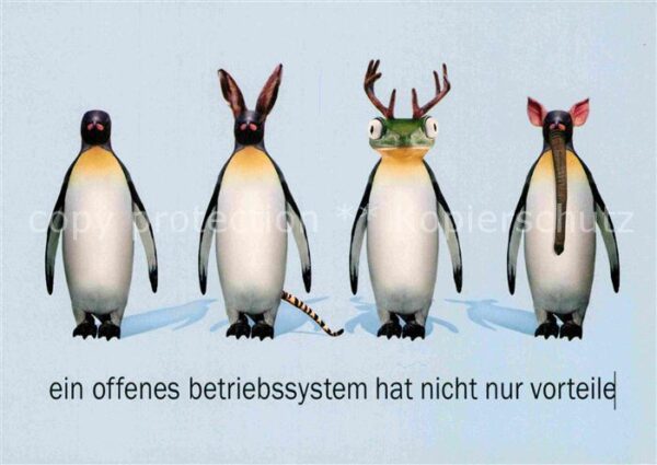Pinguin Frosch Elefant Betriebssystem Windows 2