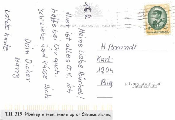Affen Monkey Thailand – Bild 2