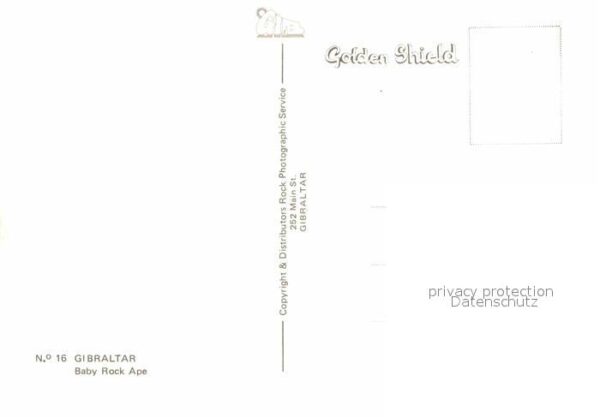 Affen Baby Rock Ape Gibraltar – Bild 2