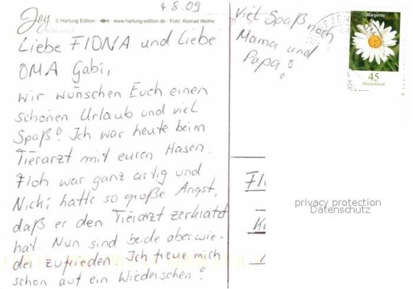 Affen – Bild 2