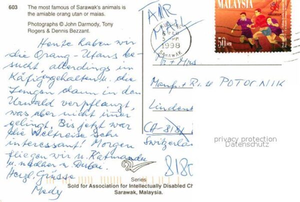 Affen Orang Utan Sarawak – Bild 2
