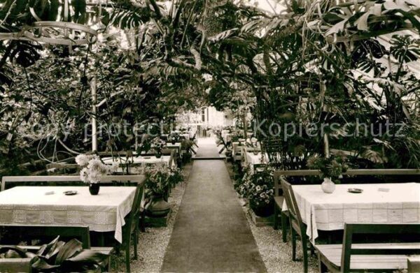 Lorch Wuerttemberg WaldCafe Muckensee Wintergarten