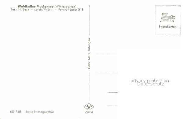 Lorch Wuerttemberg WaldCafe Muckensee Wintergarten – Bild 2
