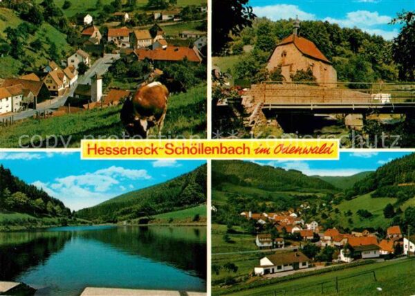 Hesseneck Schöllenbach Seepartie Brücke