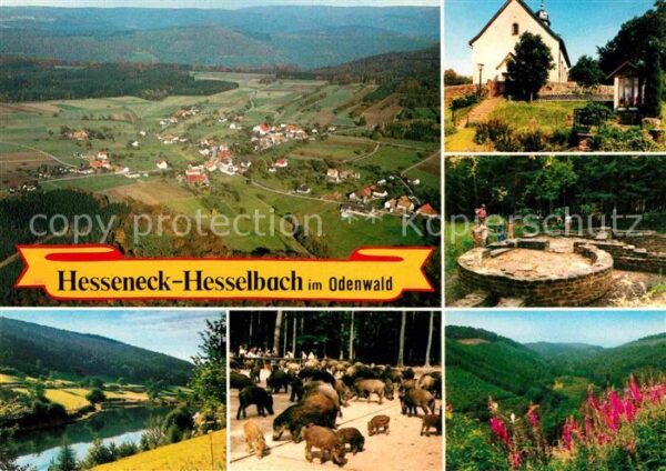 Hesseneck Hesselbach Fliegeraufnahme Wildschweine