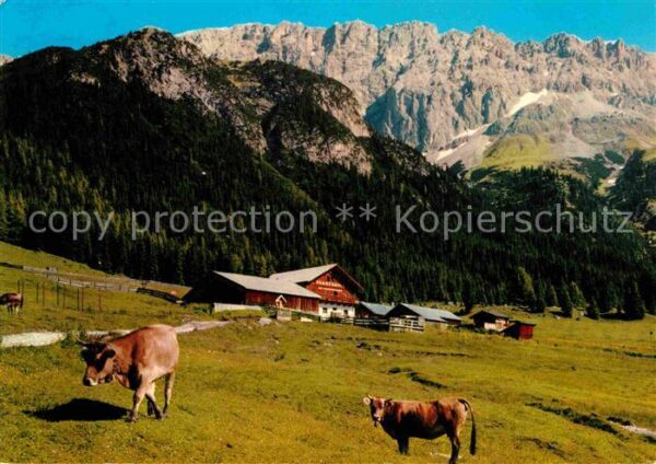 Leutasch Gaistal Hämmermoosalpe gegen Teufelsgra