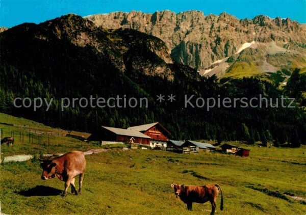 Leutasch Gaistal Hämmermoosalpe gegen Teufelsgra
