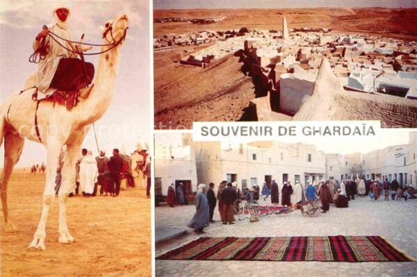 Ghardaia Camelier Place du Marché