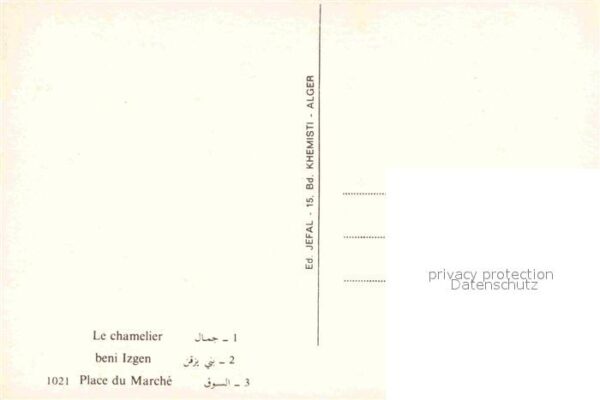 Ghardaia Camelier Place du Marché – Bild 2