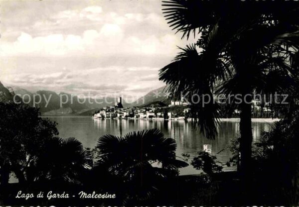 Malcesine Lago di Garda