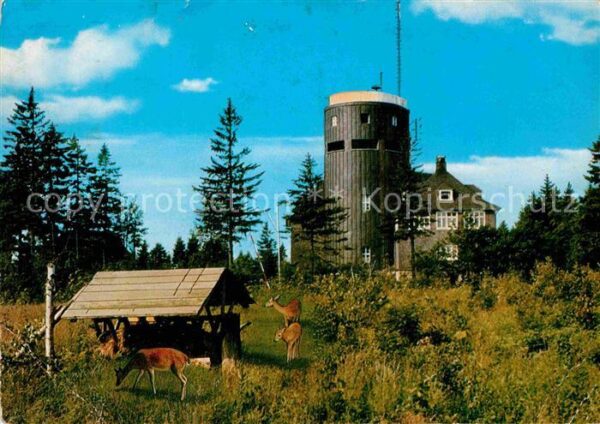 Astenturm Hochsauerland Restaurant Pension Cafe Rehblick