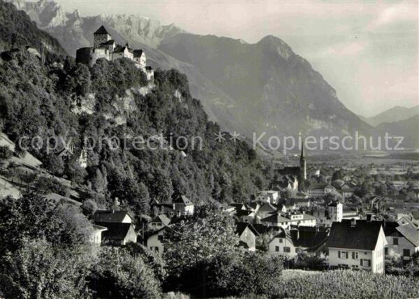 Vaduz mit Schloss Rappenstein und Falknis