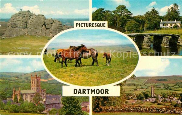 Dartmoor Haytor Rocks Clapper Bridge Ponies Buck