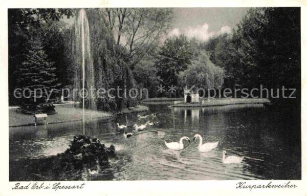 Bad Orb Kurparkweiher Fontäne Schwäne Enten
