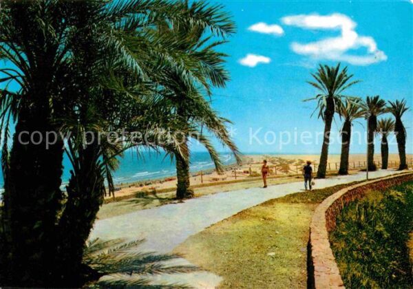 Playa del Ingles Panorama Strand Promenade Palmen