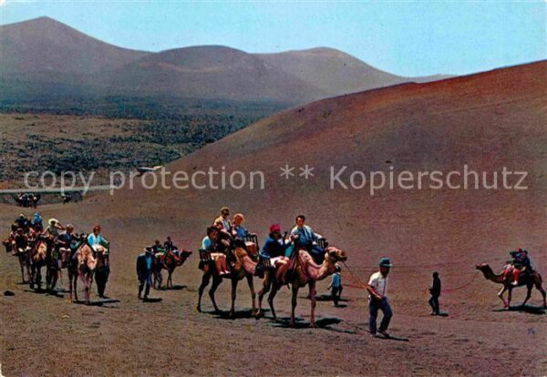 Lanzarote Kanarische Inseln Isla de los volcanes Caravana de camell