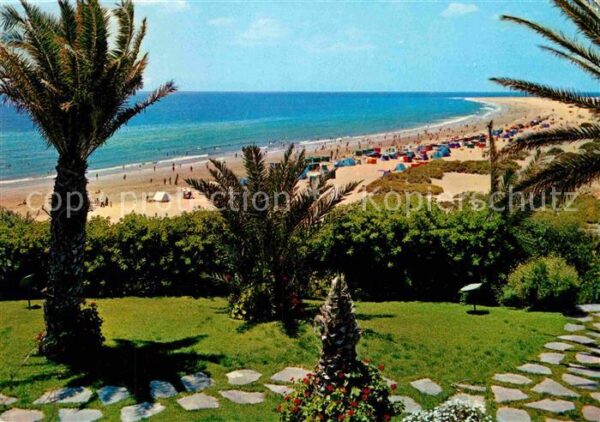 Playa del Ingles Panorama Strand Palmen