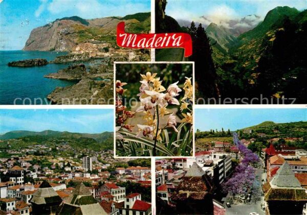 Funchal Flores e Paisagens Panorama Küste Gebir