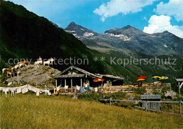 Schladming Obersteiermark Untertal Gfölleralm am Riesachsee Blick