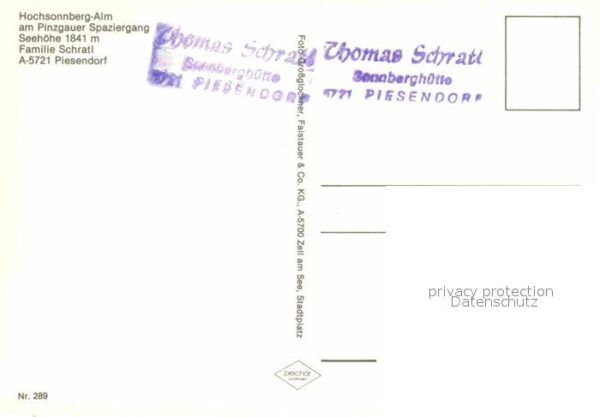 Piesendorf Hochsonnberg Alm am Pinzgauer Spazierga – Bild 2