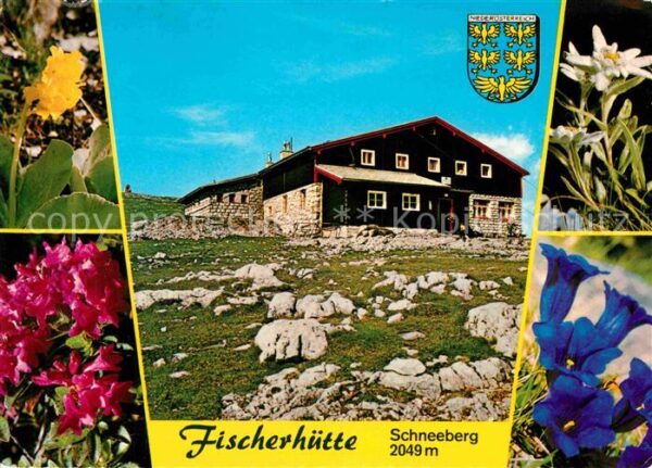 Puchberg Schneeberg Fischerhütte Alpenflora Blauer Enzian E