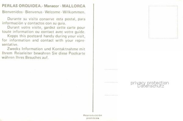 Manacor Perlas Orquidea Fontana – Bild 2