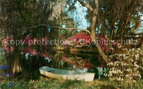 Charleston South Carolina Magnolia Gardens