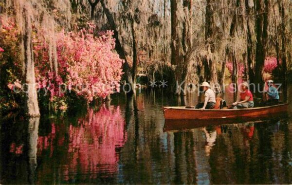 Charleston South Carolina Cypress Gardens boat tour Nature
