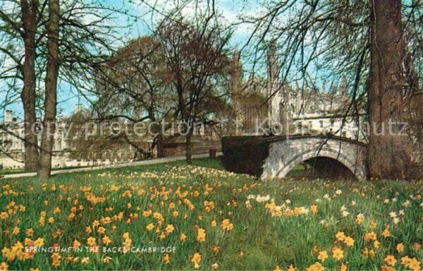 Cambridge Cambridgeshire Springtime in the backs