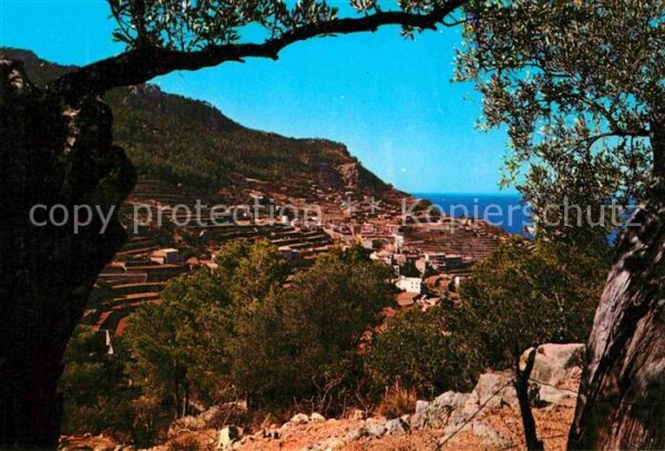 Banyalbufar Panorama