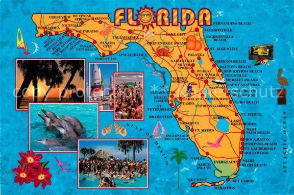 Florida US-State Landkarte Delphine Sonnenuntergang am M
