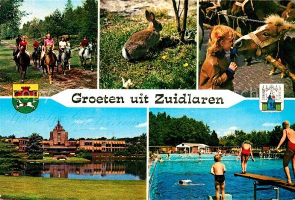 Zuidlaren Reiten Hase Pferd Freibad Hotel See