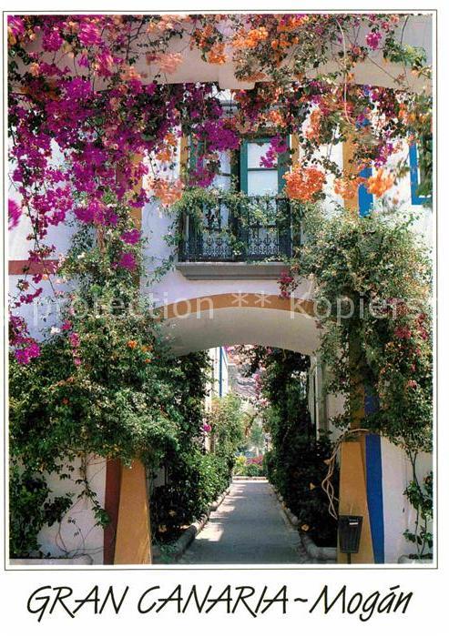 Mogan Blumenschmuck