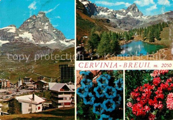 Breuil Cervinia Panorama Lago Bleu Alpen Blauer Enzian