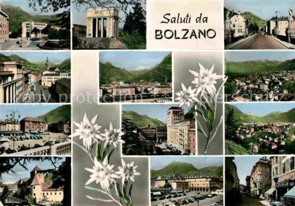 Bolzano Teilansichten Edelweiss
