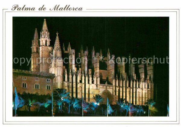 Palma de Mallorca Catedral Siglo XIII notturno