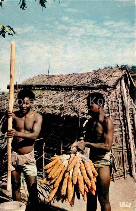 Madagascar Une belle récolte