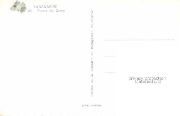 Tananarive Fleurs du Zoma – Bild 2