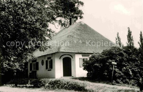 Zundert Angora Hoeve